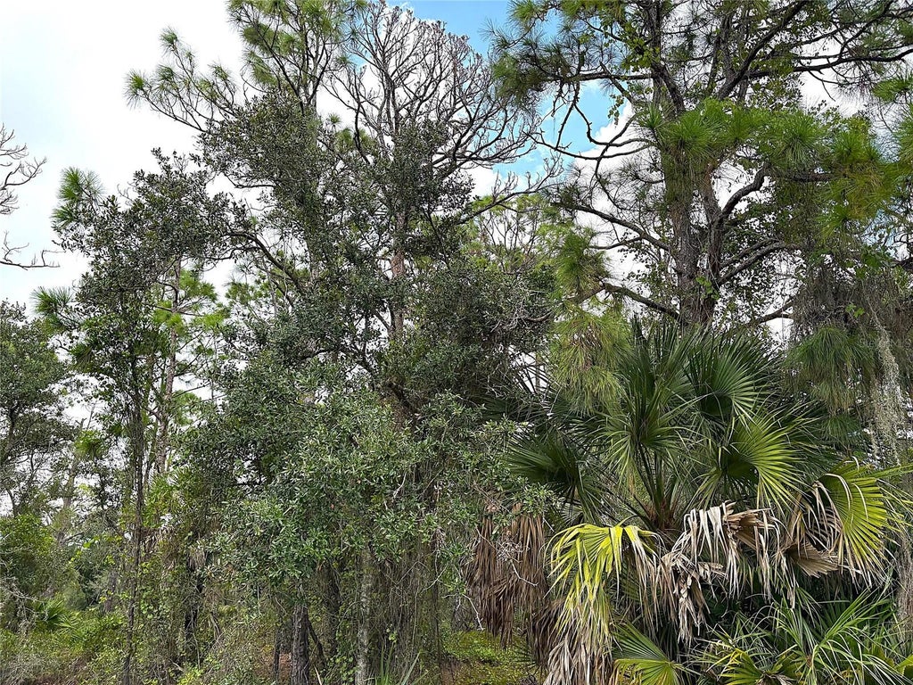 Photo of 14060 Dunlap Avenue, Port Charlotte, FL 33953 (MLS # C7531946)