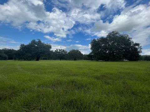 4160 NE 127TH PLACE ANTHONY FL 32617