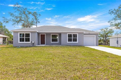 Photo of 46 Guava Pass Terrace, Ocklawaha, FL 32179 (MLS # OM699687)