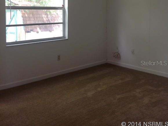 Winter Woods - Residential