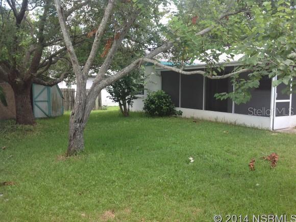 Winter Woods - Residential