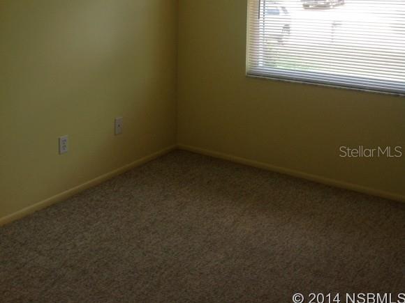 Winter Woods - Residential