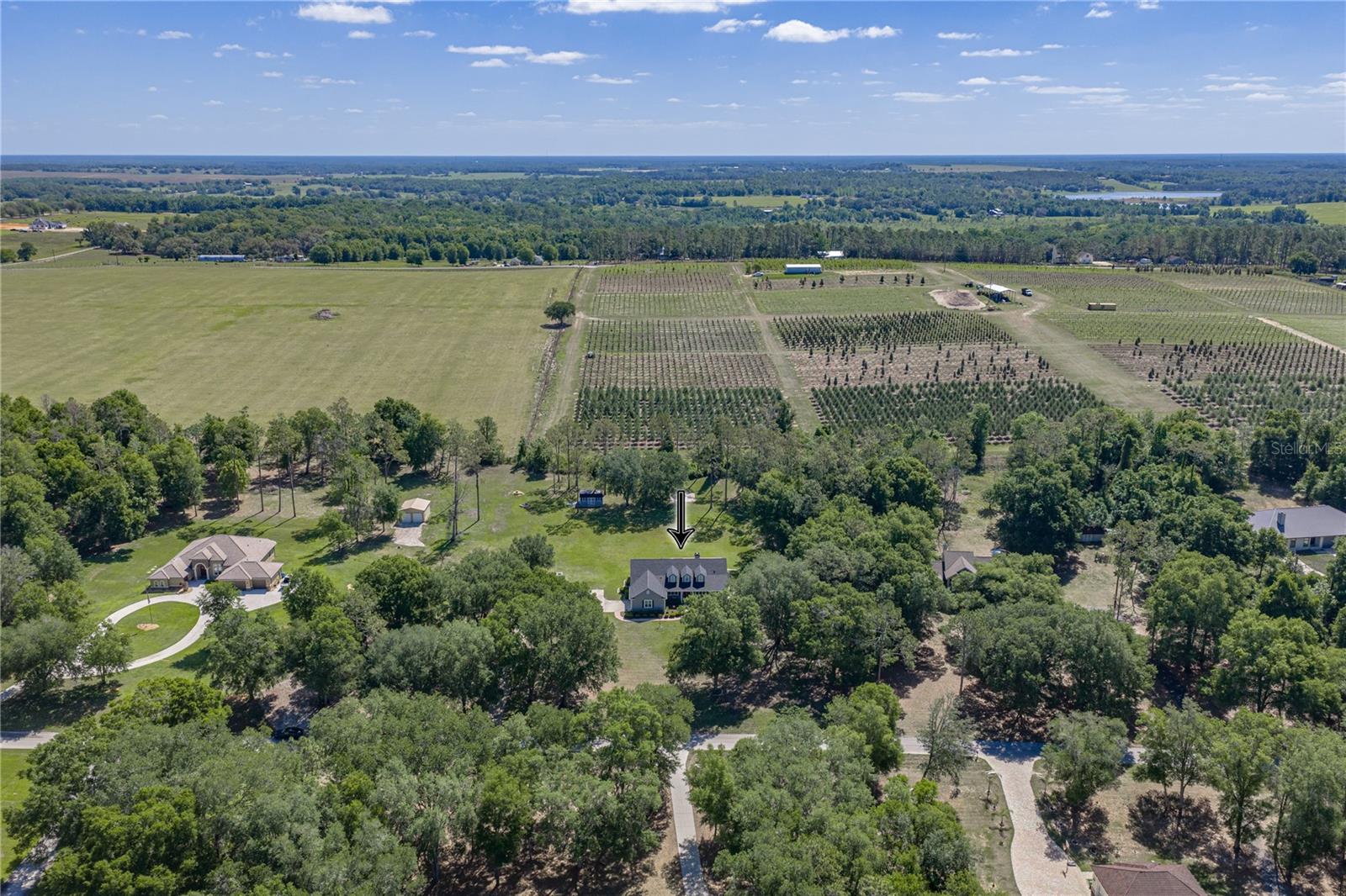 810 SAVANNAH OAKS DRIVE