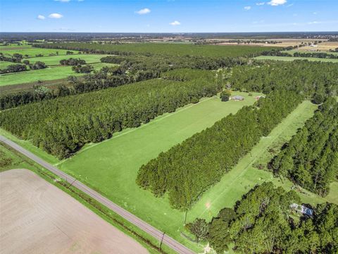 Tiny photo for 1231 NW 120th Street, Chiefland, FL 32626 (MLS # G5104515)