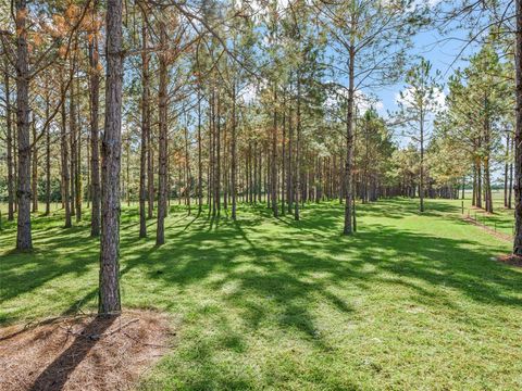 Tiny photo for 1231 NW 120th Street, Chiefland, FL 32626 (MLS # G5104515)