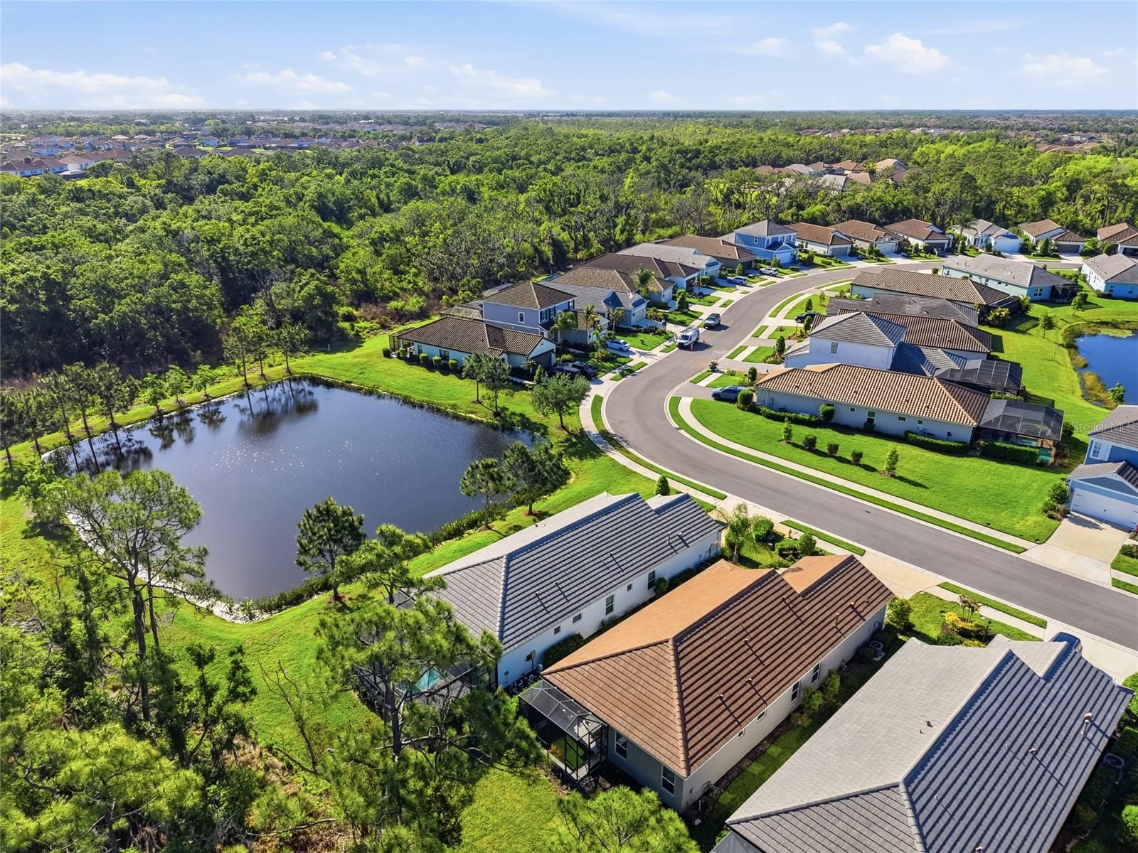 INDIGO PH VI SUBPH 6B & 6C REPLAT - Residential