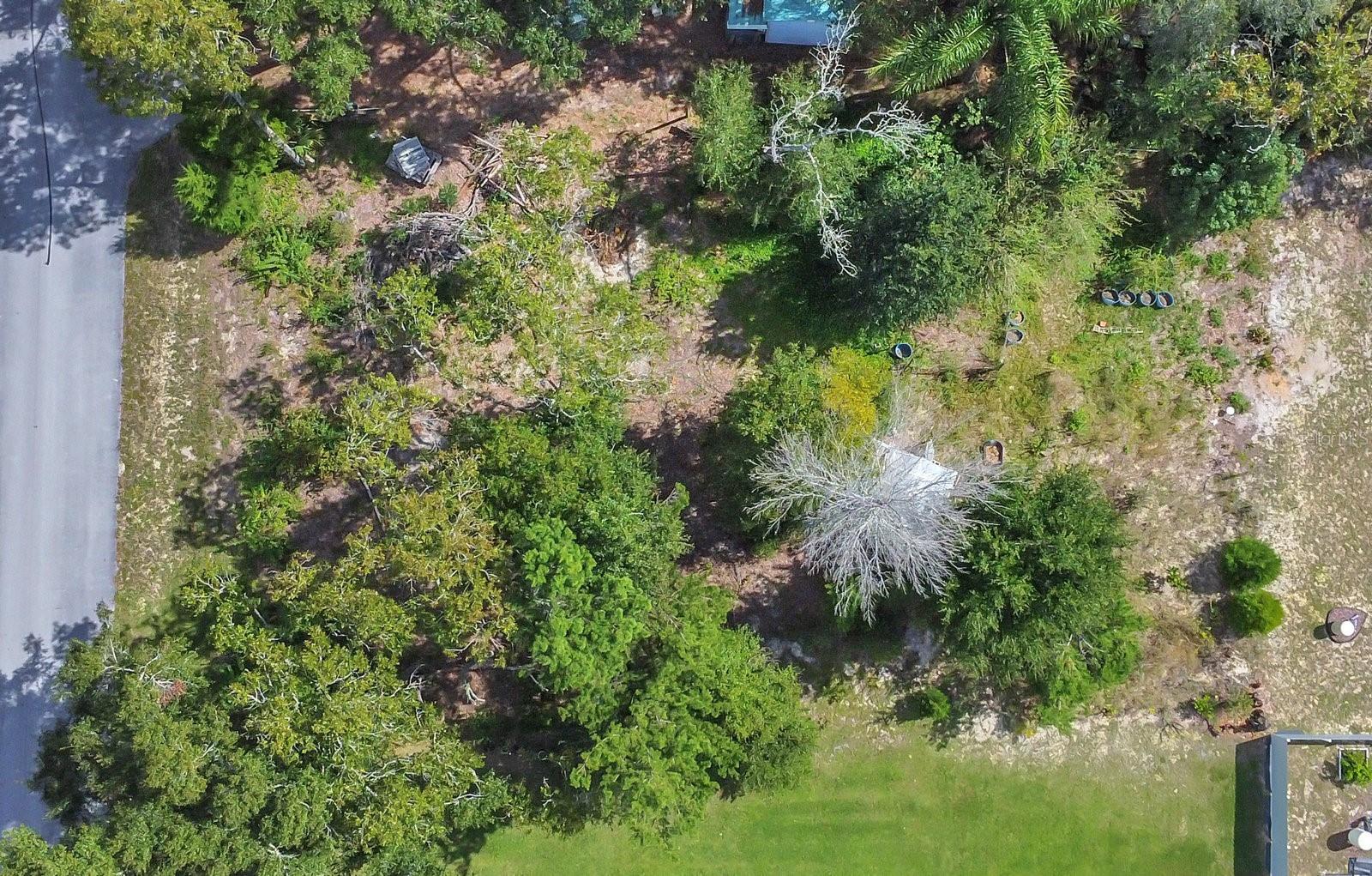 ORANGE BLOSSOM HILLS UN 14 - Land