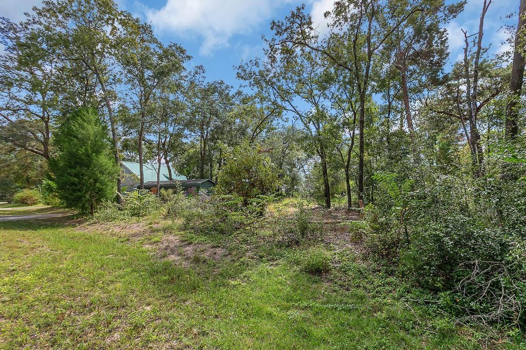 Photo of SE 150th Street, Summerfield, FL 34491 (MLS # O6353470)