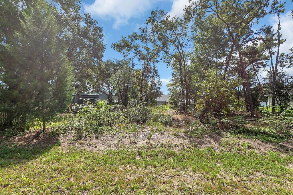 Photo of SE 150th Street, Summerfield, FL 34491 (MLS # O6353470)