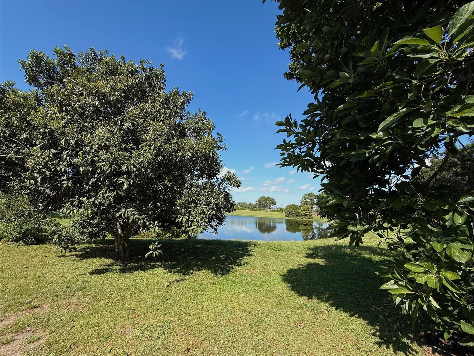 VISTA ROYALE - Residential Lease