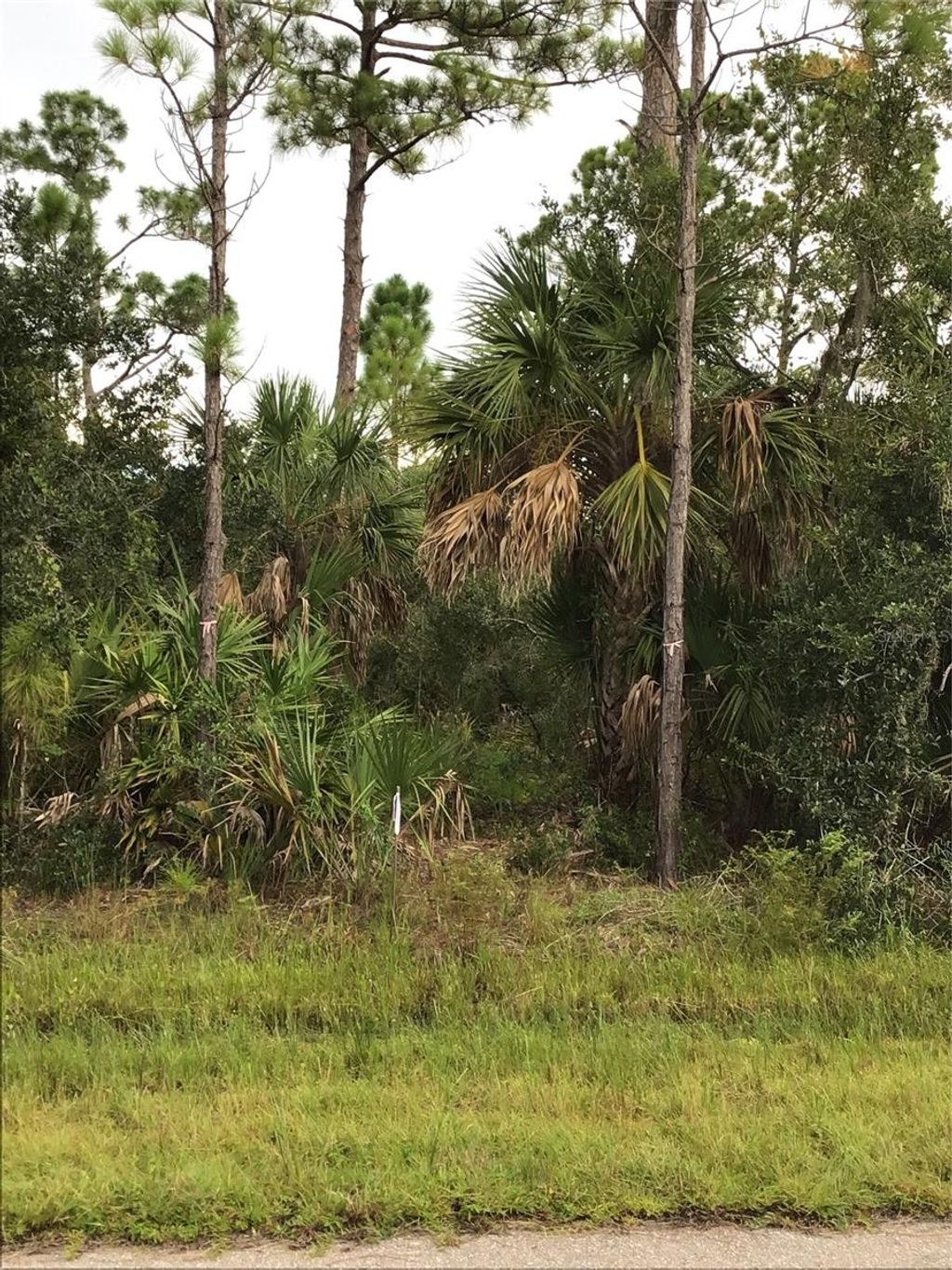 Photo of 14202 Hydrangea Avenue, Port Charlotte, FL 33953 (MLS # N6134310)