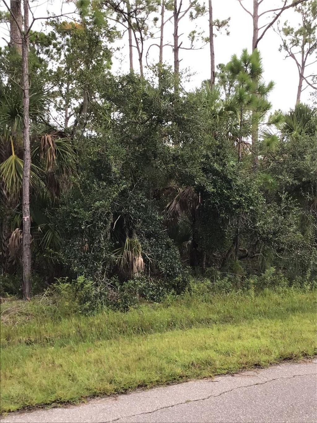 Photo of 14202 Hydrangea Avenue, Port Charlotte, FL 33953 (MLS # N6134310)