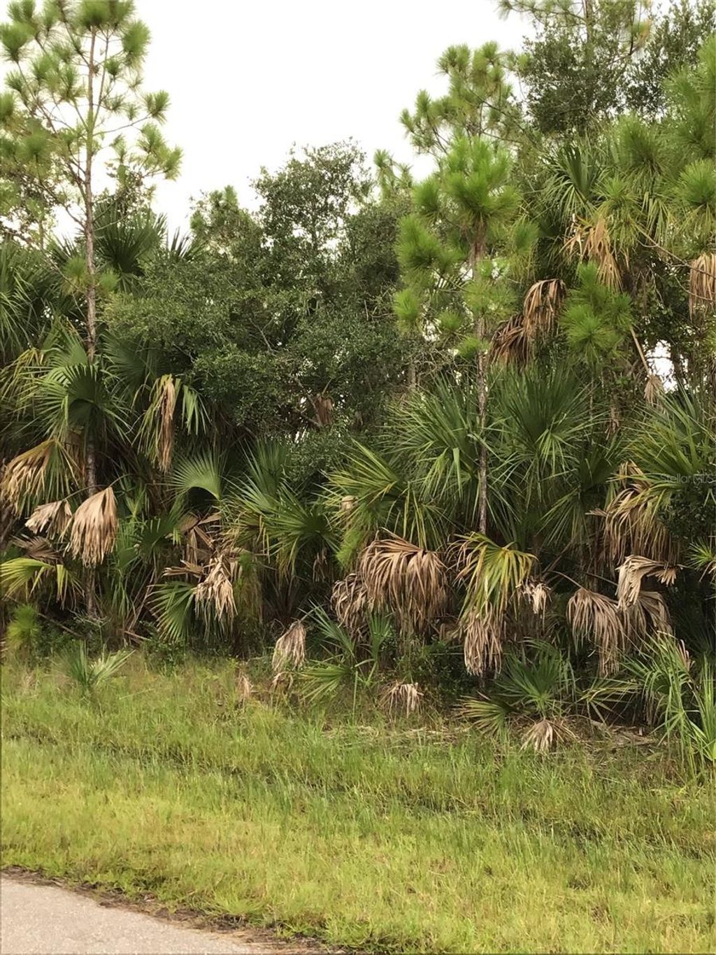 Photo of 14202 Hydrangea Avenue, Port Charlotte, FL 33953 (MLS # N6134310)