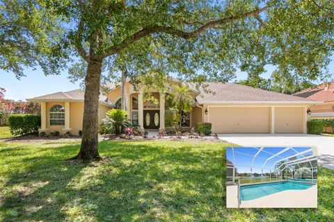 A home in PALM COAST