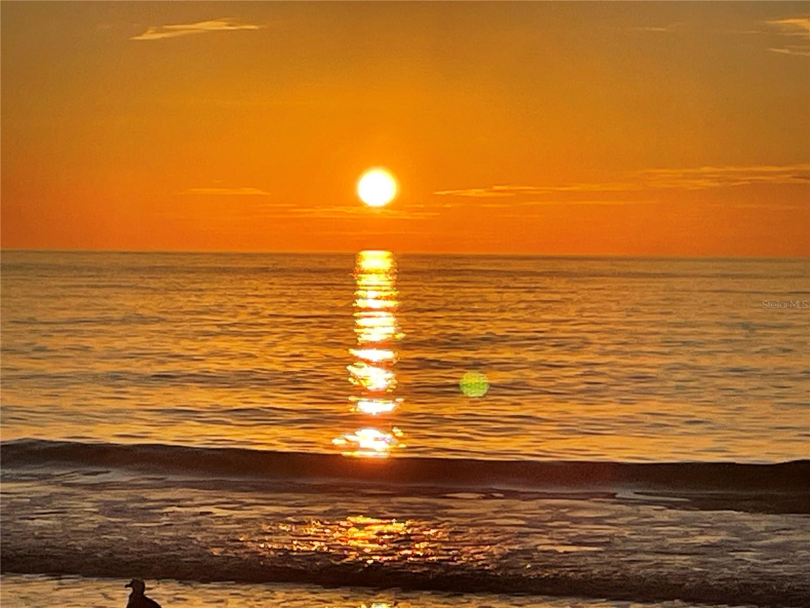 GULFSHORE OF LONGBOAT KEY - Residential