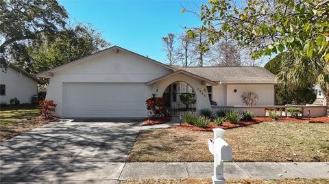 3845 ERIN BROOK DRIVE NEW PORT RICHEY FL 34655