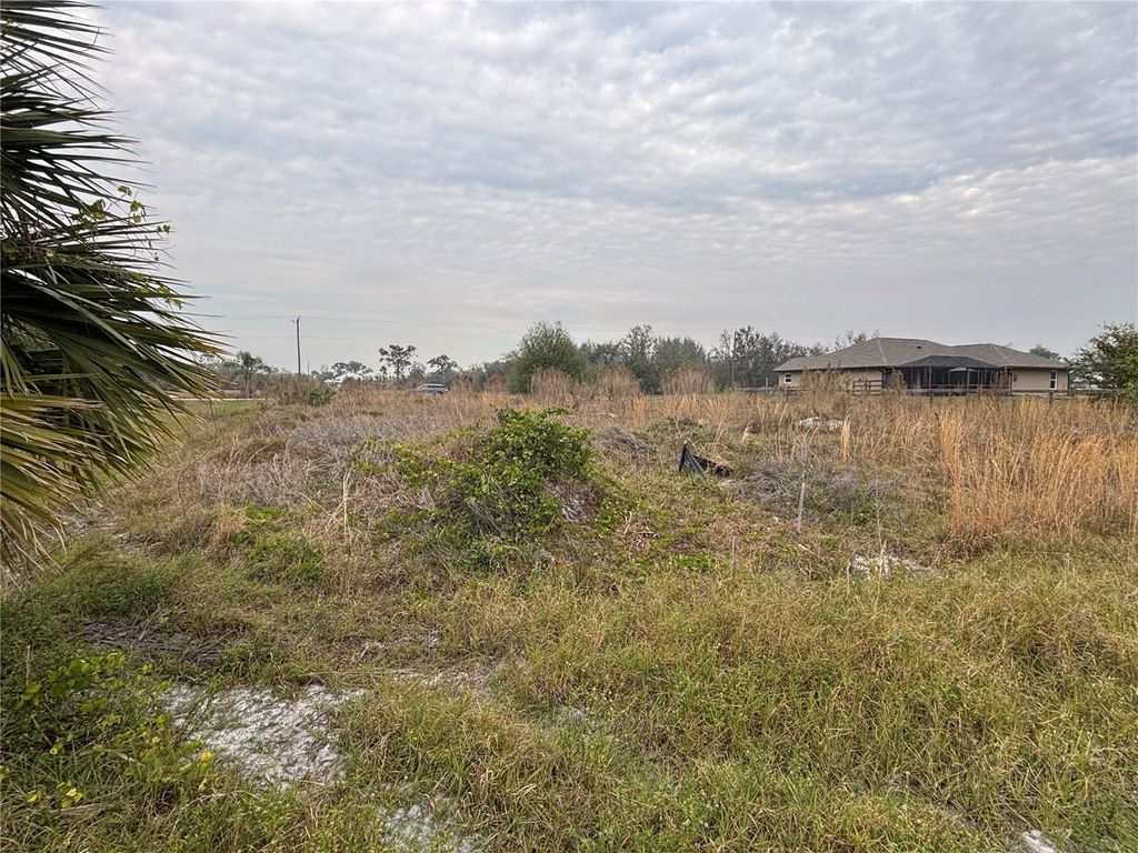 Photo of 31083 Peace Street, Punta Gorda, FL 33982 (MLS # C7503095)