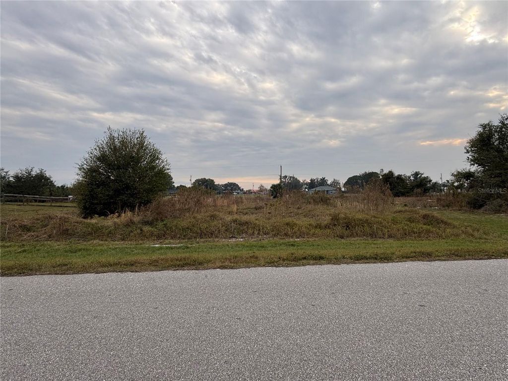 Photo of 31083 Peace Street, Punta Gorda, FL 33982 (MLS # C7503095)