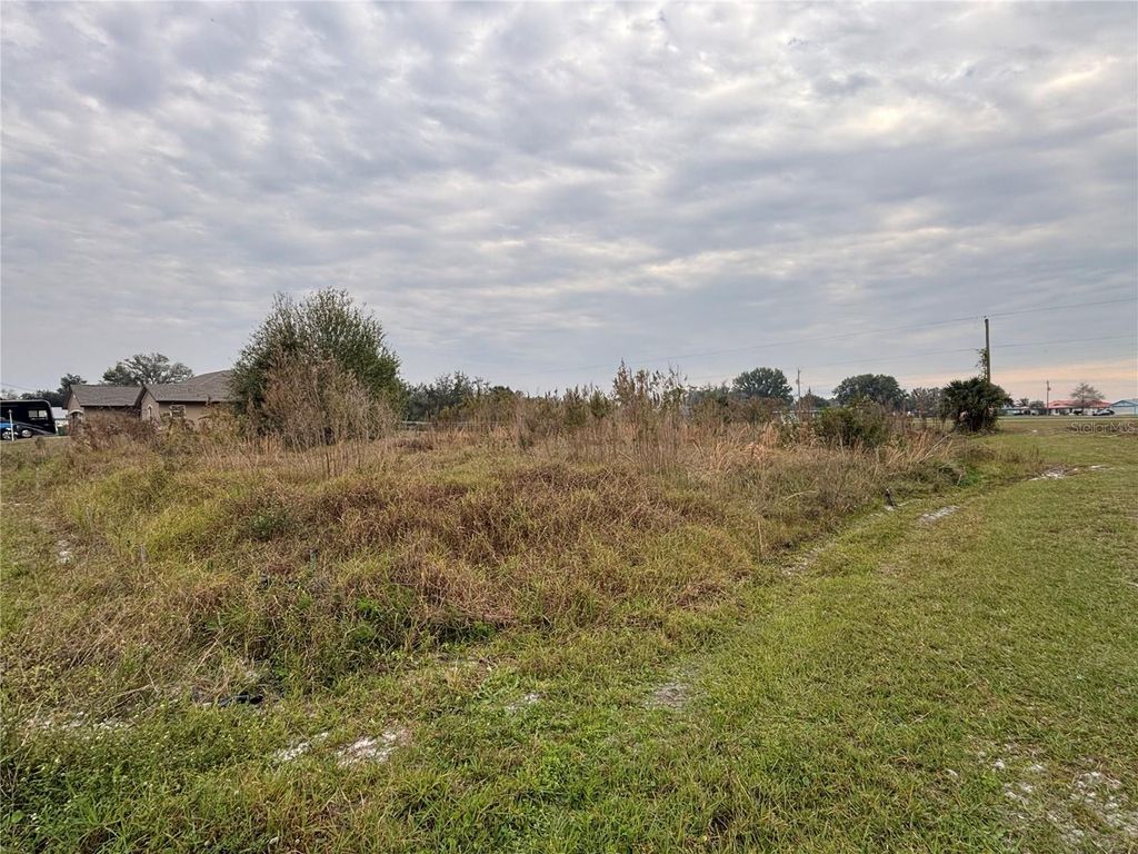 Photo of 31083 Peace Street, Punta Gorda, FL 33982 (MLS # C7503095)