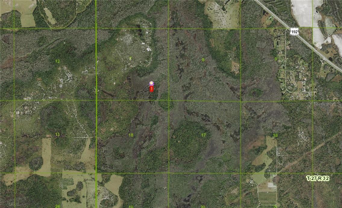 HOLOPAW GROVES ROAD