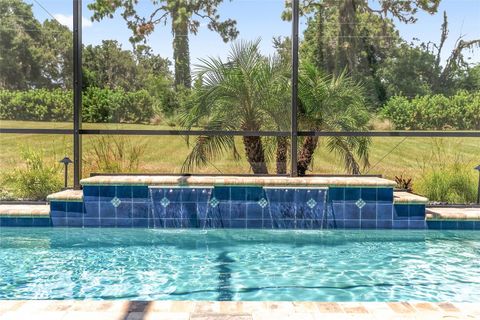 Tiny photo for 2540 NE 108th Lane, Oxford, FL 34484 (MLS # G5100368)