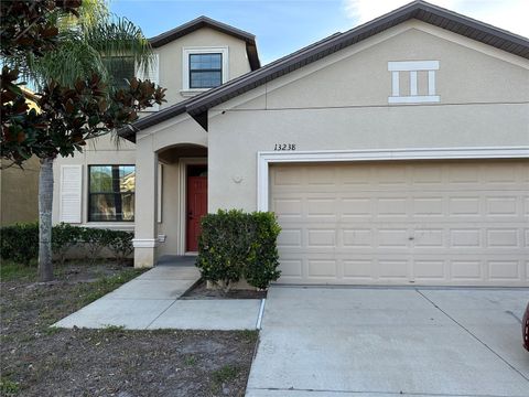 13238 WELLINGTON HILLS DRIVE RIVERVIEW FL 33579