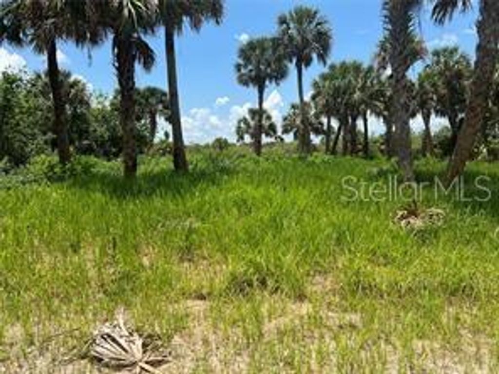 Photo of 3026 Sage Avenue SW, Palm Bay, FL 32908 (MLS # G5107622)