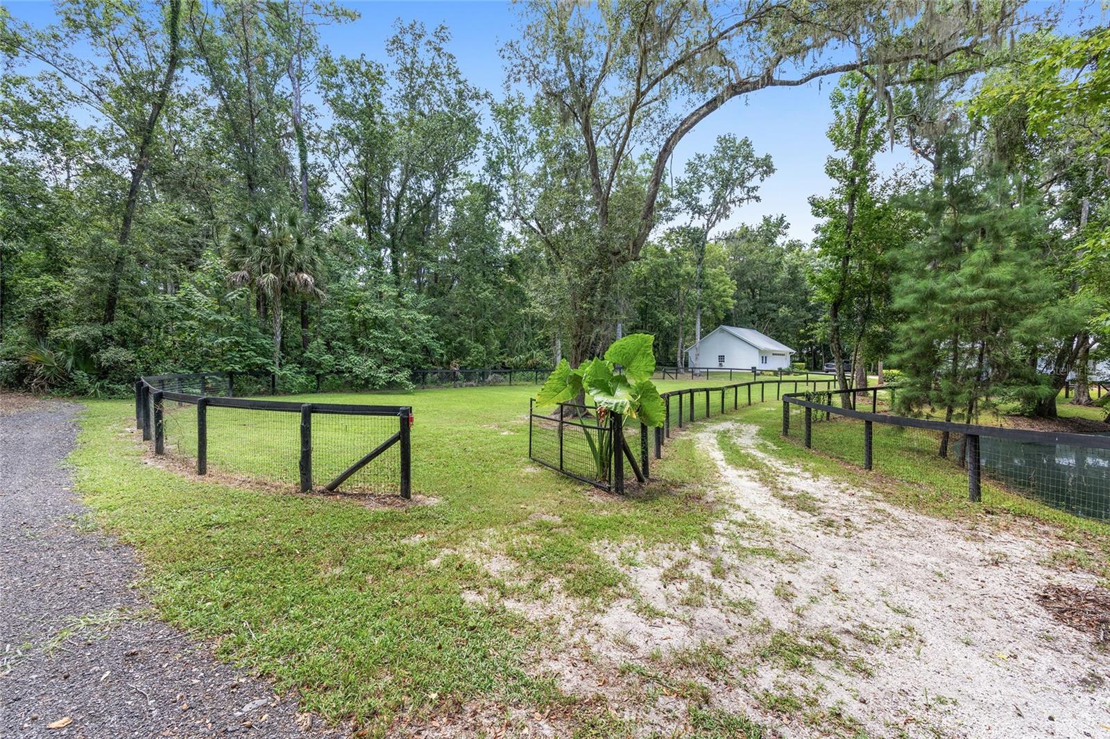 LUTTRELL O R SHACKLEFORD LAND - Residential