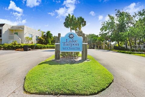 A home in TARPON SPRINGS