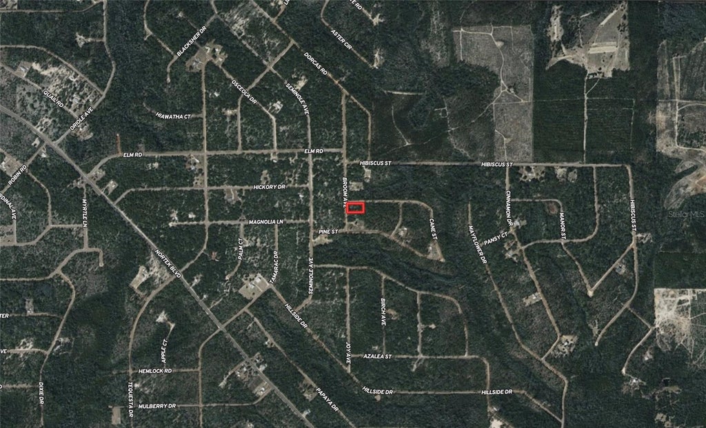 Photo of Broom Avenue, Marianna, FL 32448 (MLS # TB8525646)