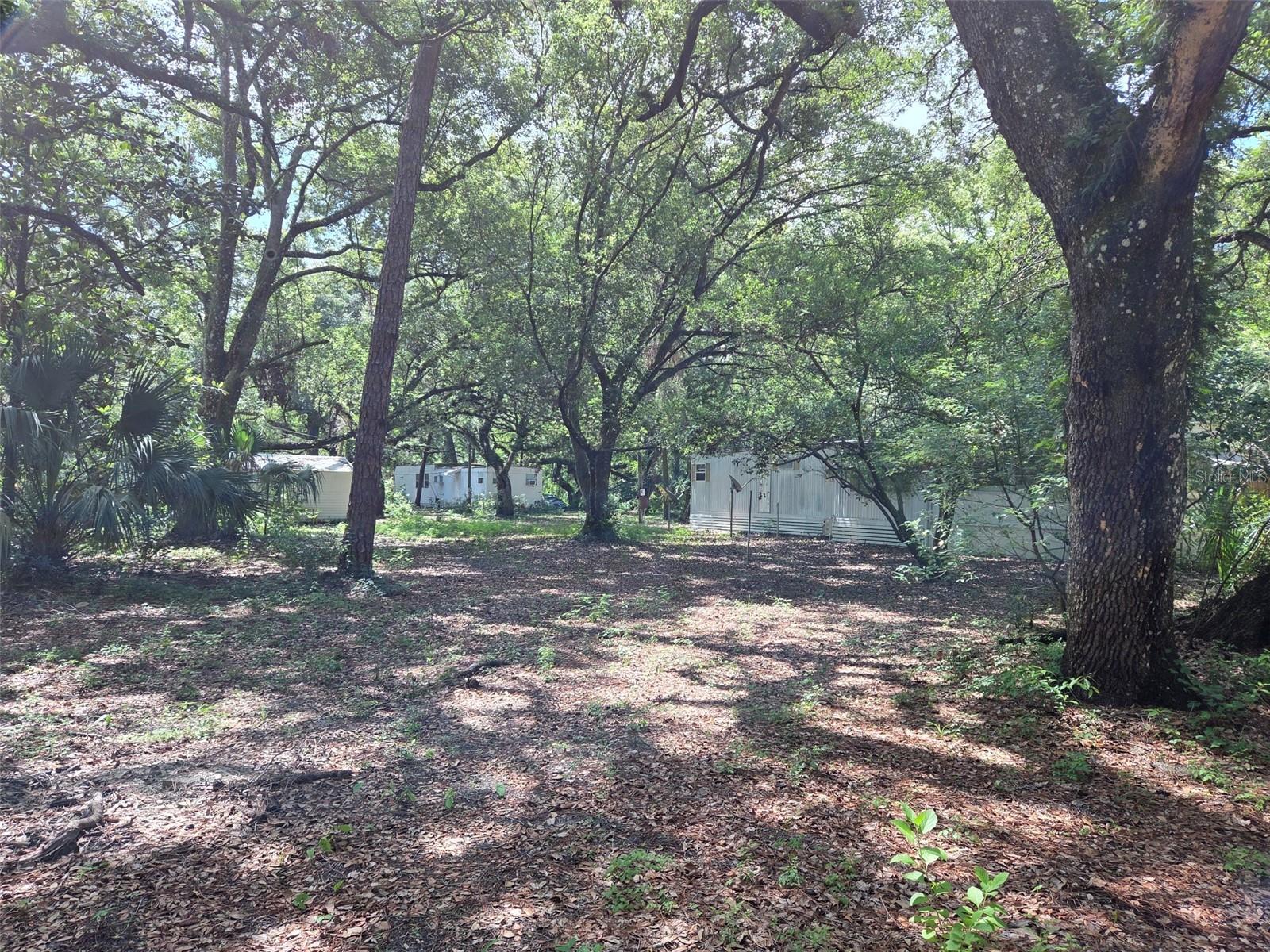 ZEPHYRHILLS COLONY CO - Land