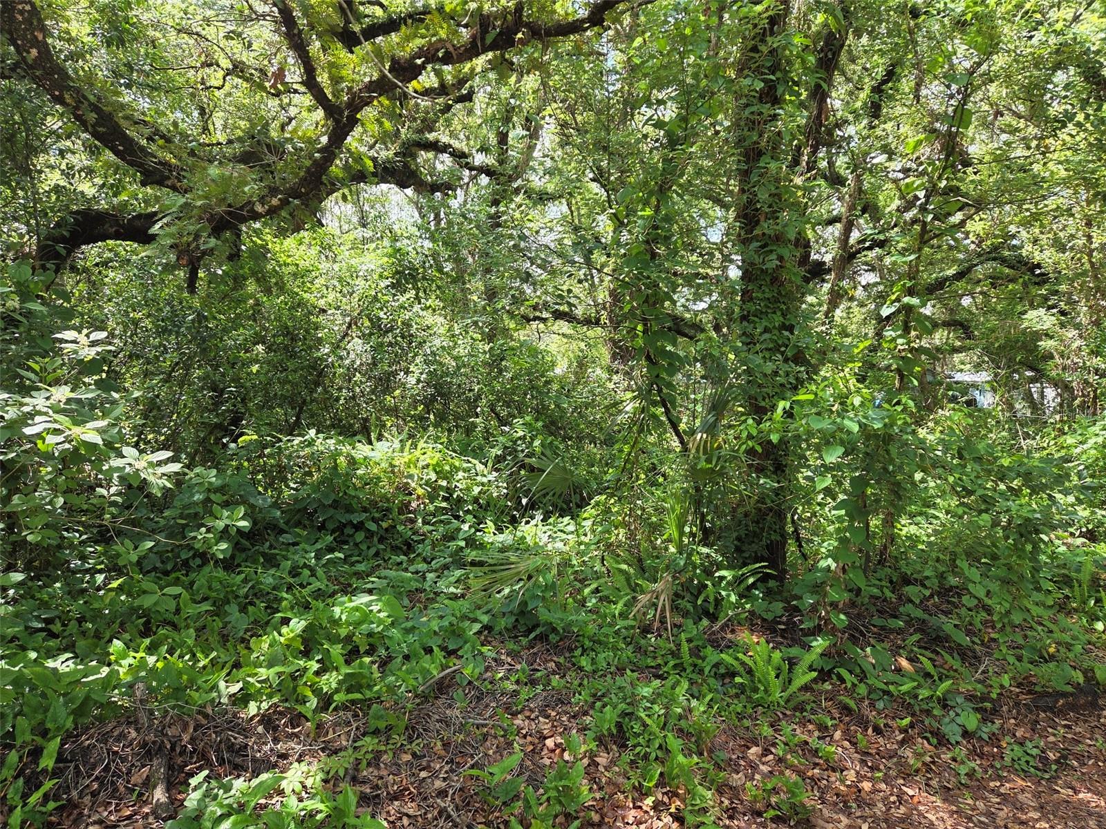 ZEPHYRHILLS COLONY CO - Land