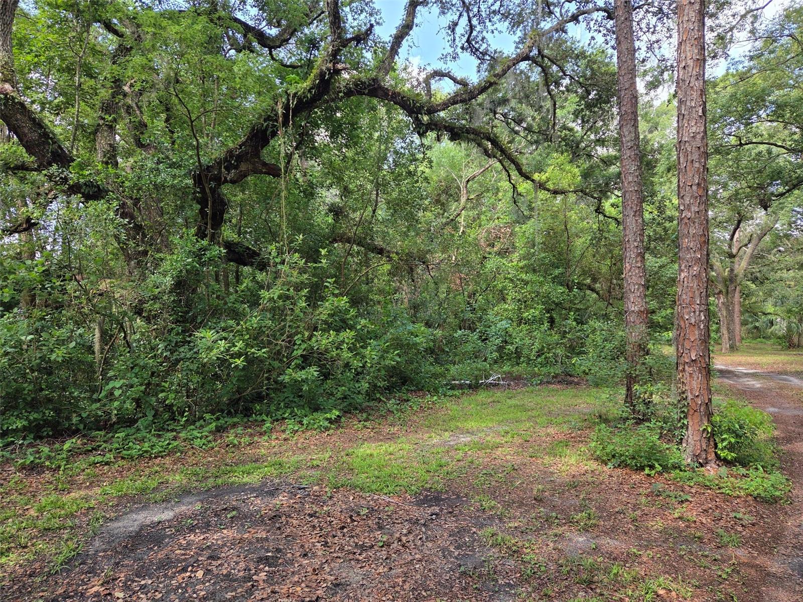 ZEPHYRHILLS COLONY CO - Land