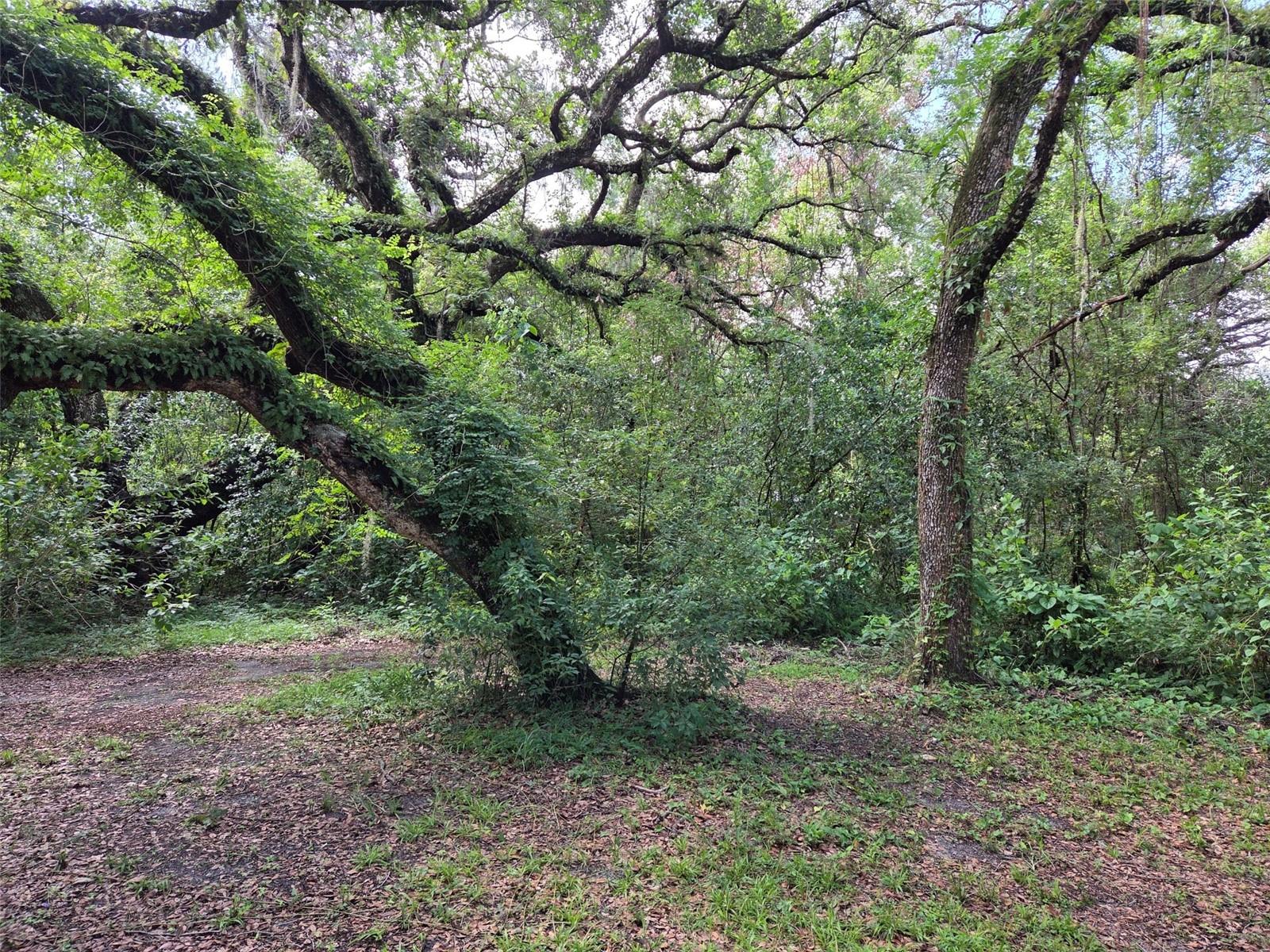 ZEPHYRHILLS COLONY CO - Land