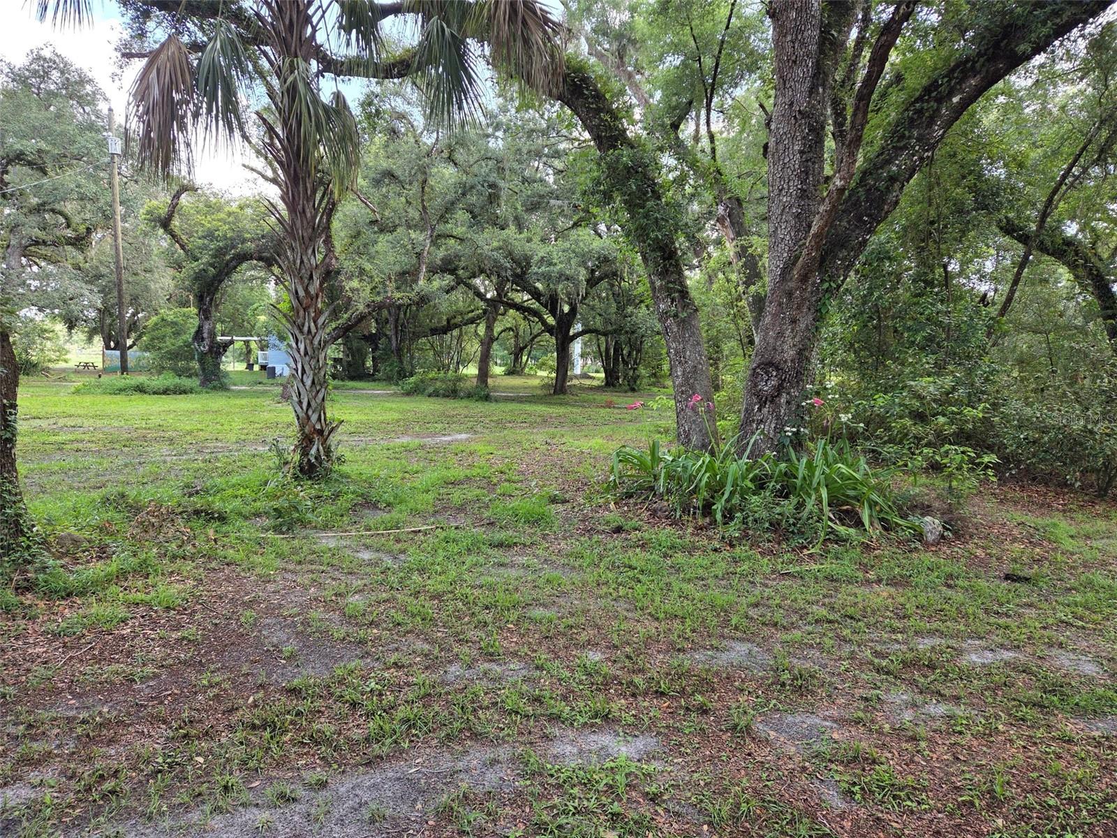 ZEPHYRHILLS COLONY CO - Land