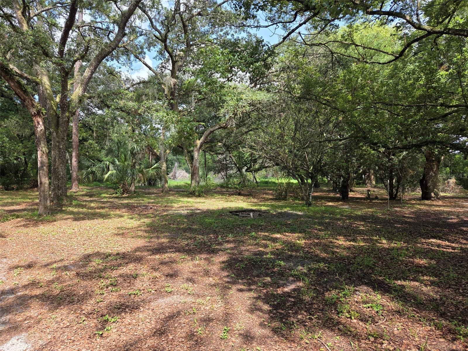 ZEPHYRHILLS COLONY CO - Land
