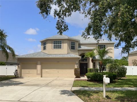 Photo of 11356 Callaway Pond Drive, Riverview, FL 33579 (MLS # O6318415)