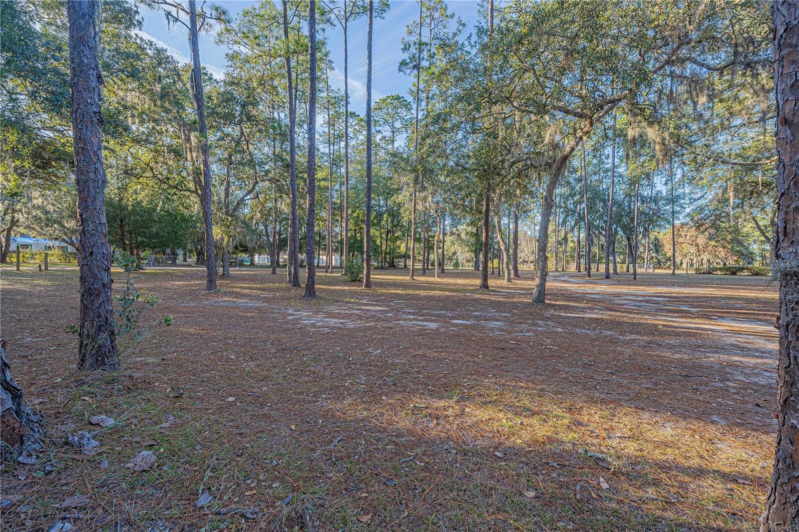 NOT IN SUBDIVISION - Residential