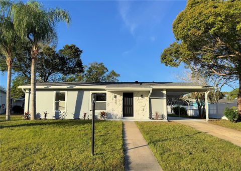 A home in DELTONA