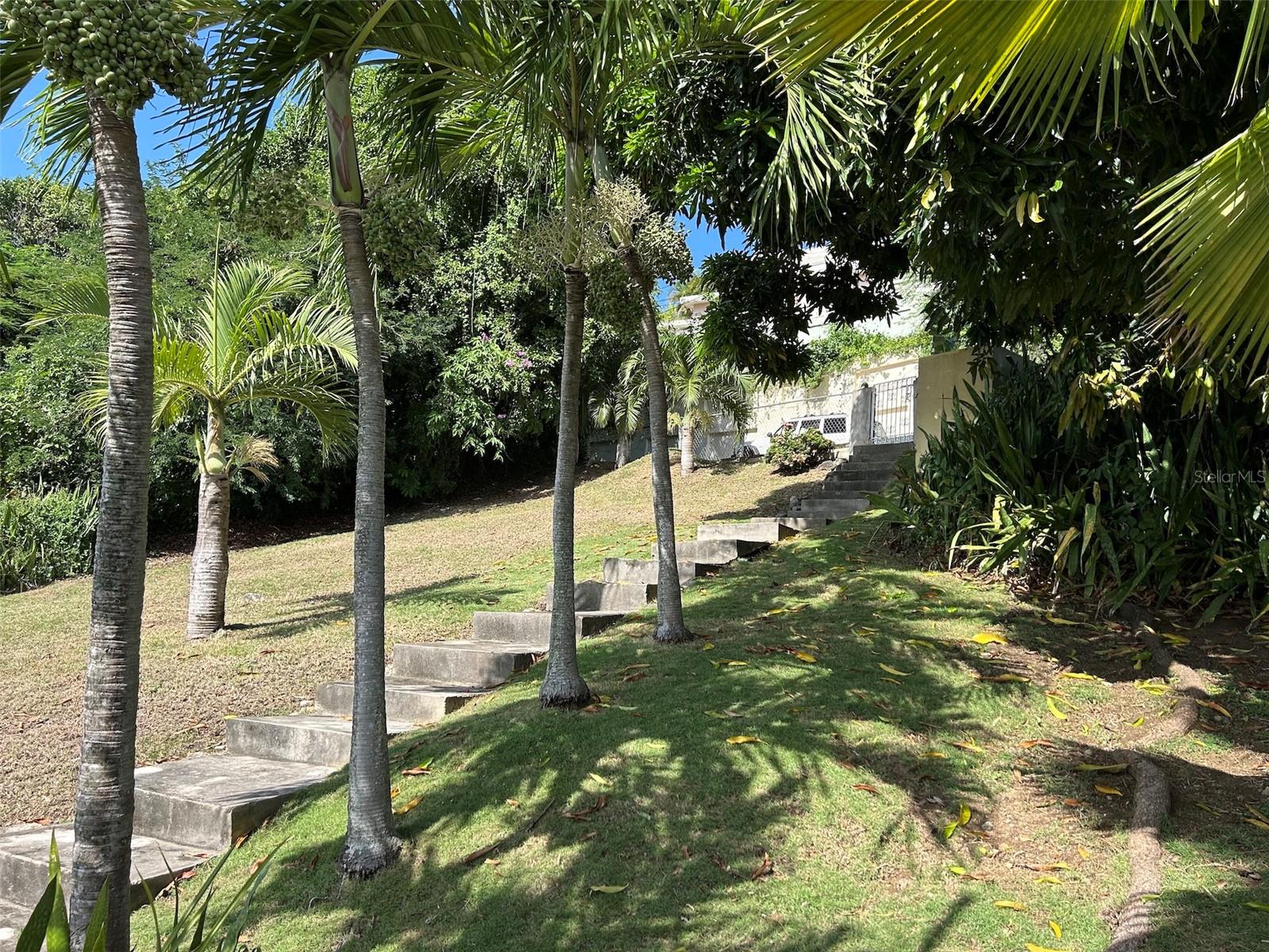 PUERTO FERRO - Residential