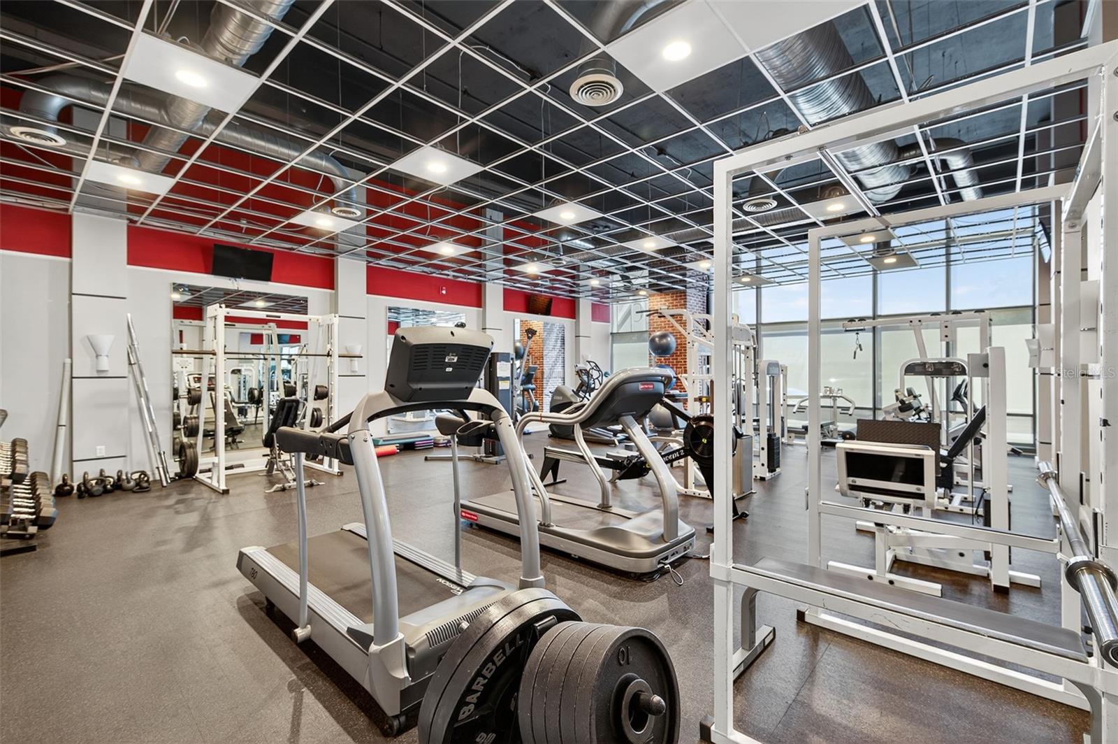 MC NULTY LOFTS CONDO - Residential Lease