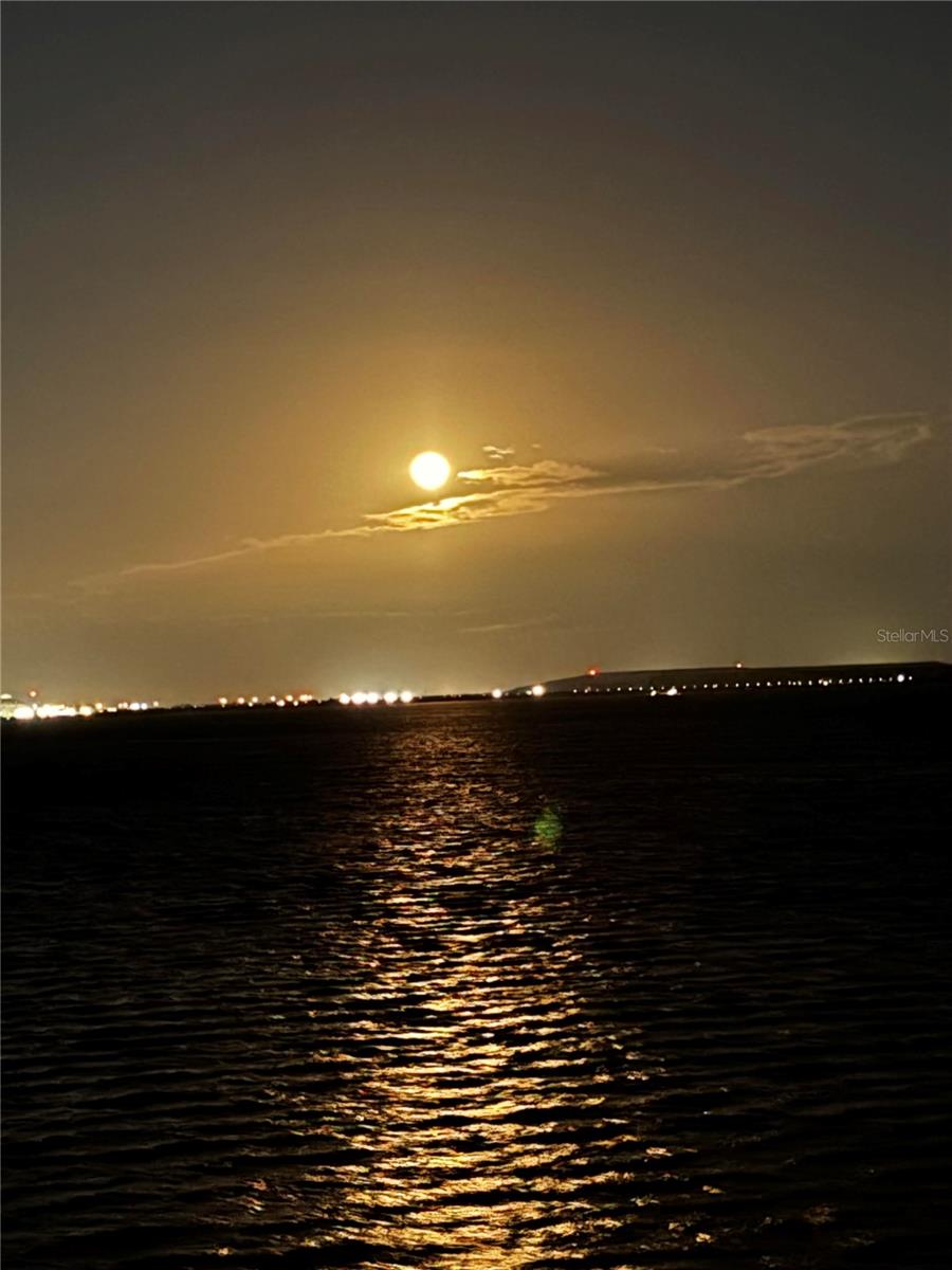 BAYSHORE ON THE BLVD A CO - Residential