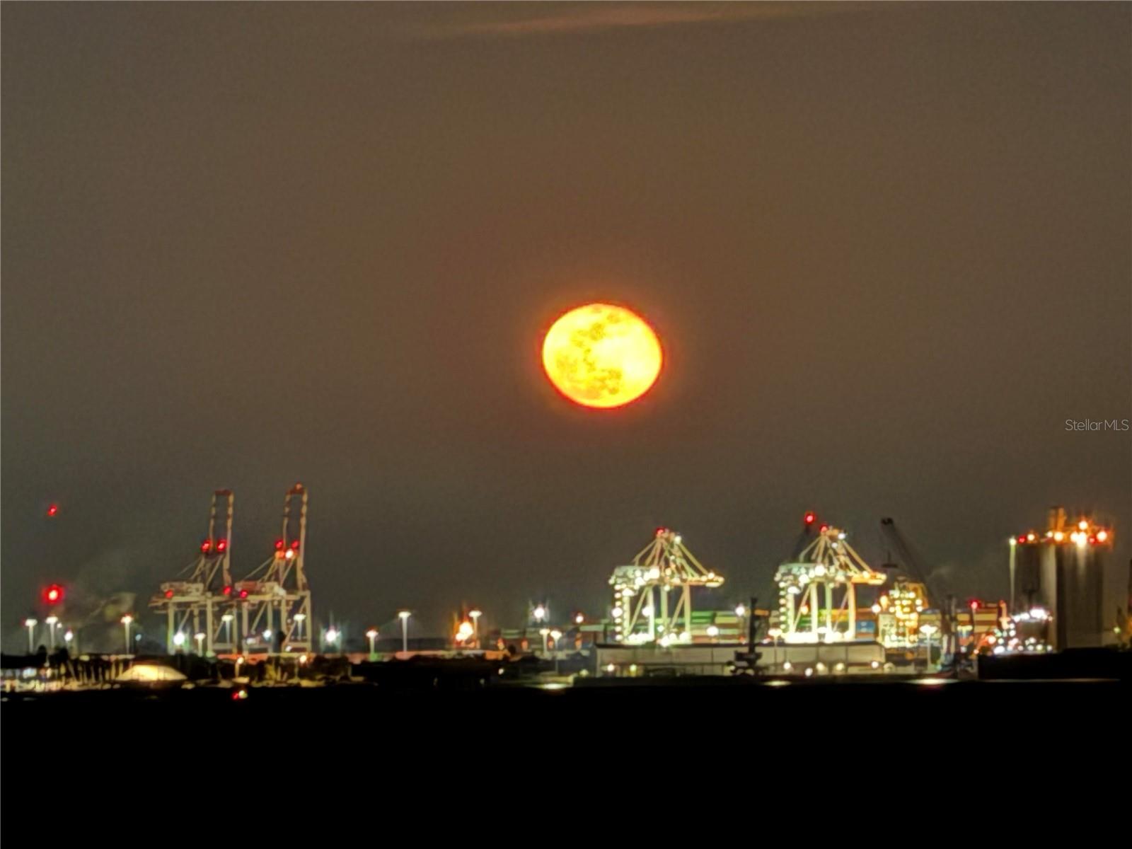 BAYSHORE ON THE BLVD A CO - Residential