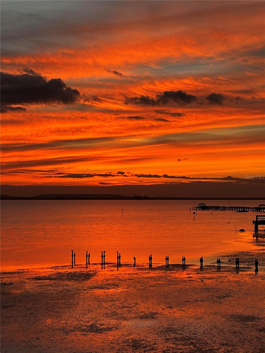 BAYSHORE ON THE BLVD A CO - Residential