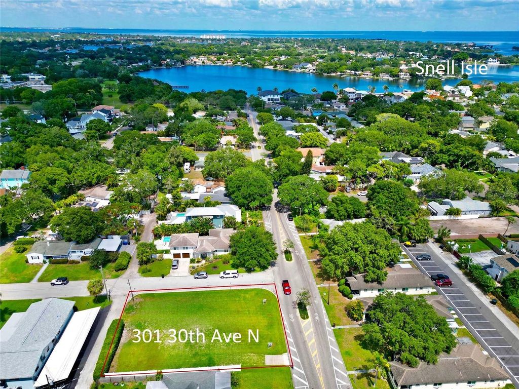 Photo of 301 30th Avenue N, St Petersburg, FL 33704 (MLS # U8239857)