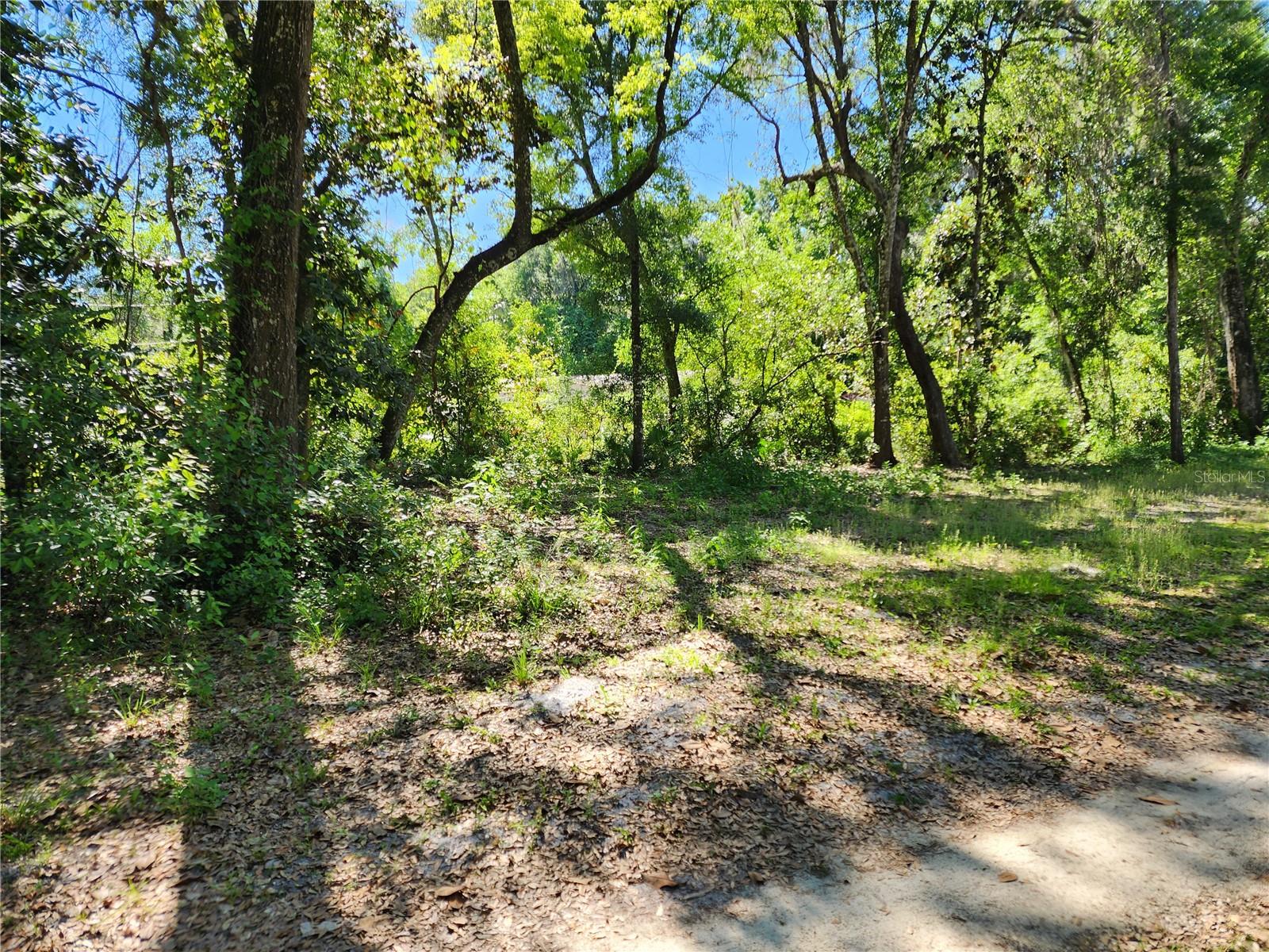 LAKE ESTATES/COLONY ESTATES/GROVEWOOD - Residential