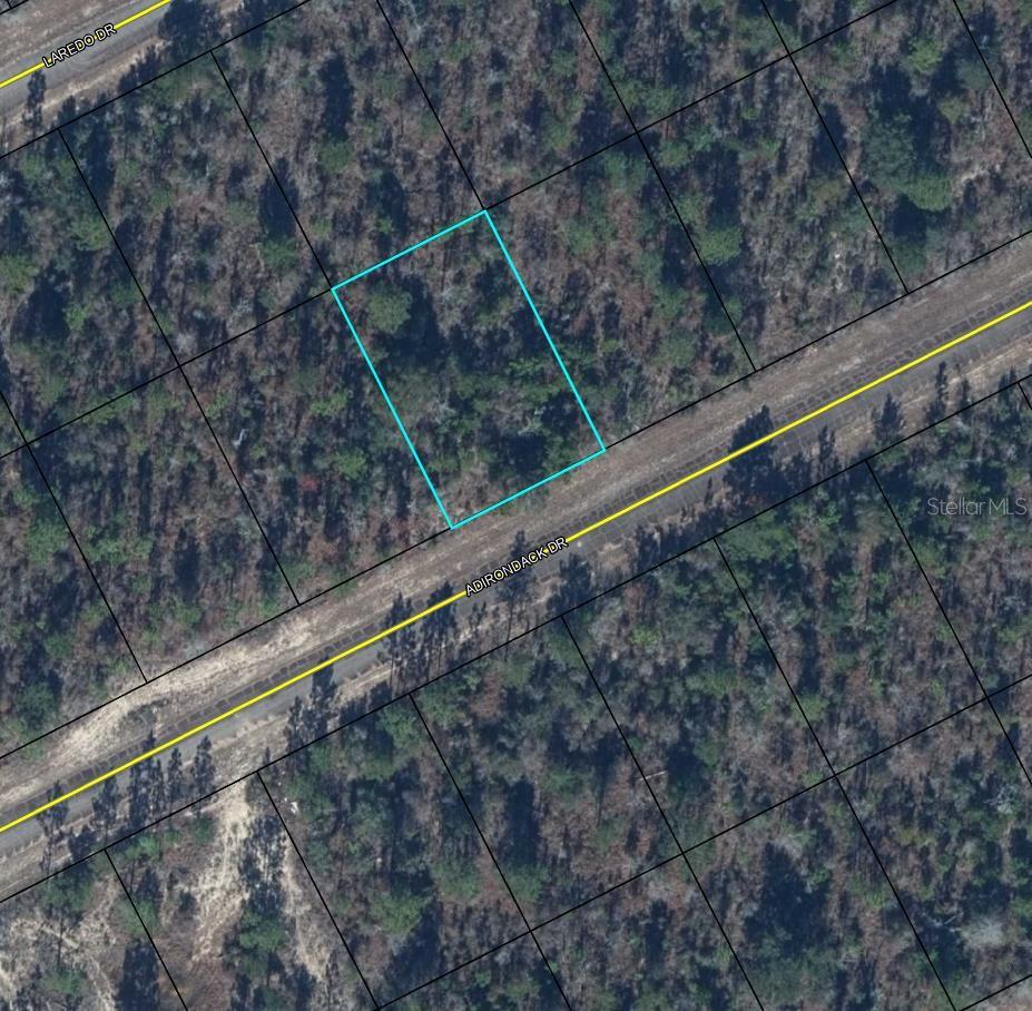 Photo of Tbd Adirondack Drive, Chipley, FL 32428 (MLS # TB8562998)