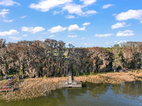 A home in EUSTIS