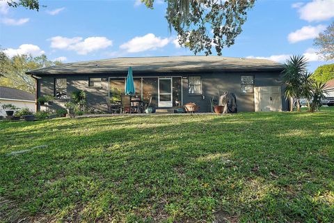 A home in EUSTIS