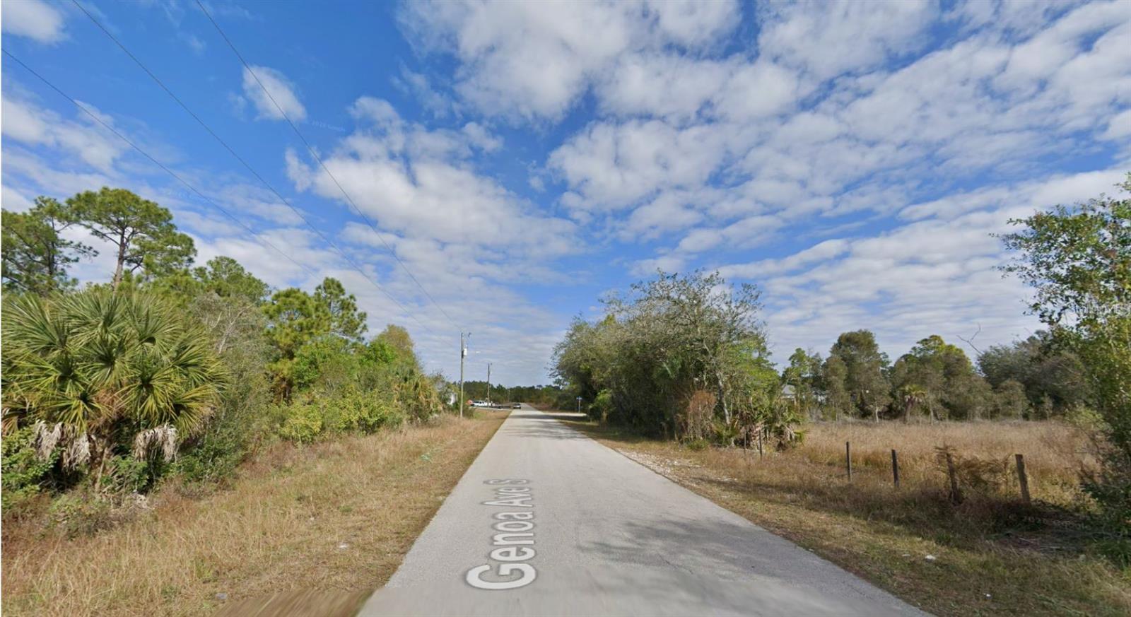 CHIMNEY SWIFT ROAD